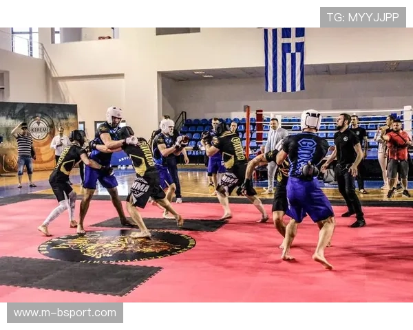 综合格斗收视率增长迅猛,广告商加大赛事赞助投入